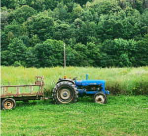 mower